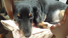 20151013_200333.jpg