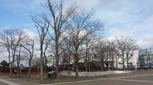 20160411_141805.jpg