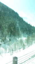 20160412_124249.jpg