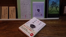 20160423_210152.jpg