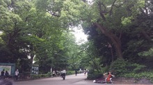 20160524_125128.jpg