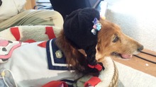 20160626_144939.jpg