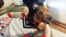 20160626_144932.jpg