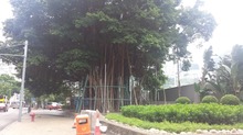 20161004_111929.jpg